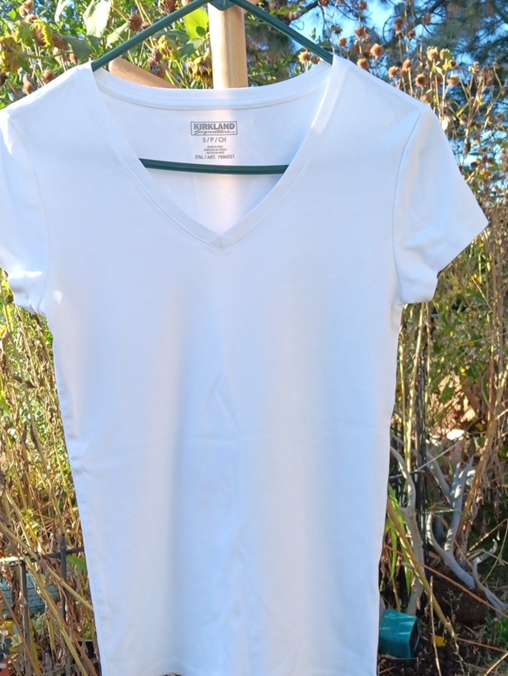 Kirkland Signature White V-Neck Short Sleeve Tee